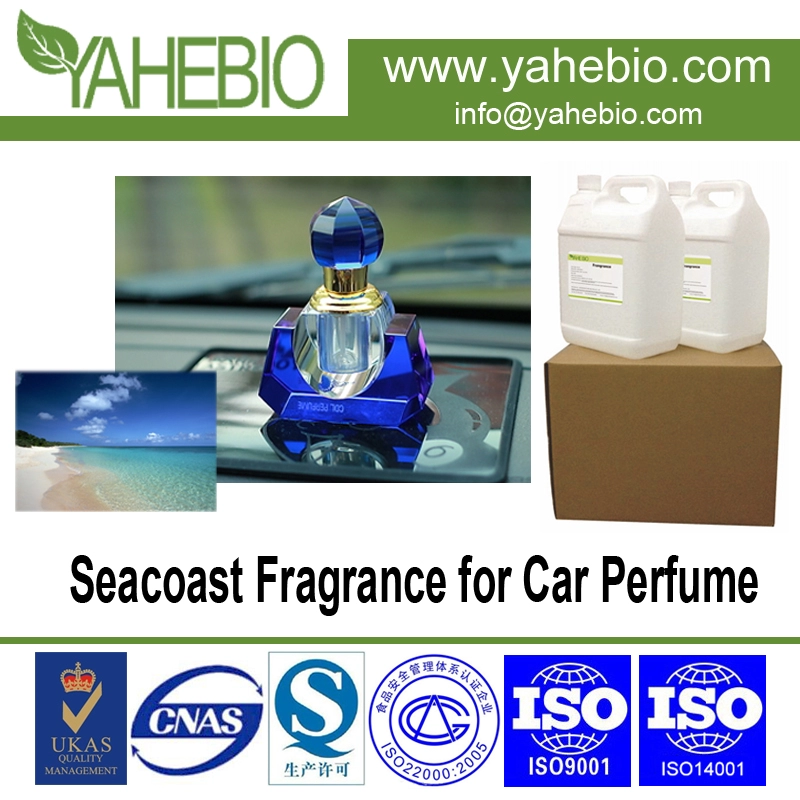 Fragrance Seahoast pour parfum automobile