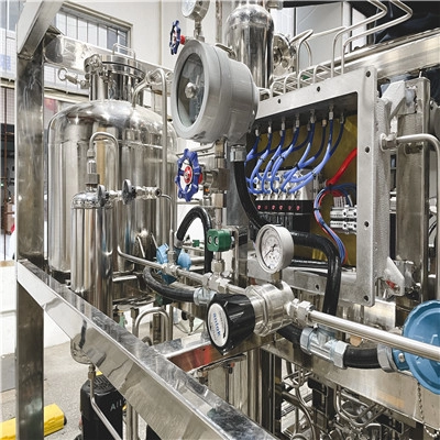 Générateur d'hydrogène gazeux/usine de production d'hydrogène de haute qualité avec une capacité de 5 à 15 Nm3/h, certification CE