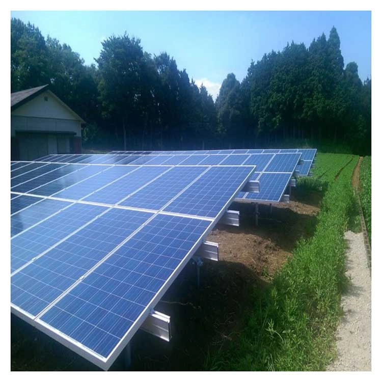 Système de montage solaire au sol pour serre agricole