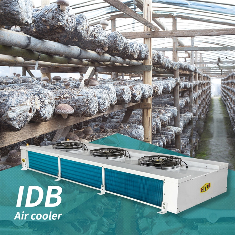 Évaporateur du système de refroidissement de la série IDB pour serre de légumes