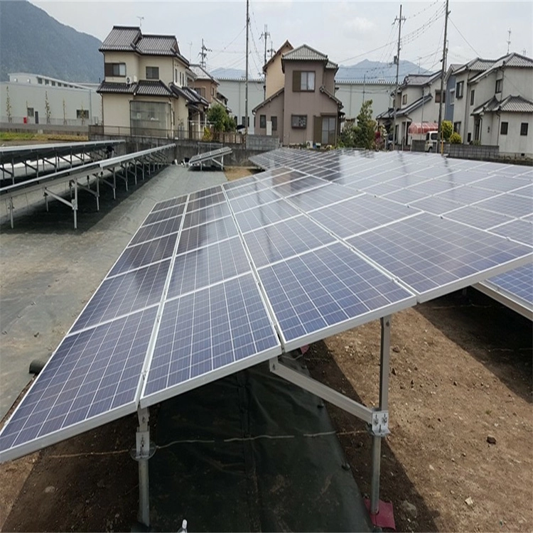 Système de montage de panneau solaire au sol