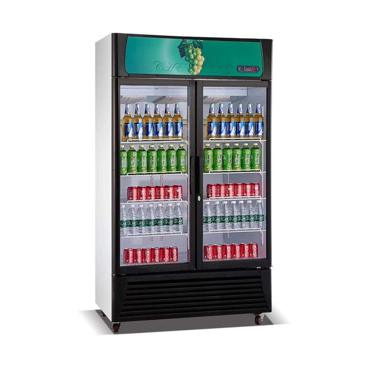 Réfrigérateur commercial d'affichage de boisson de double porte en verre verticale pour des boissons