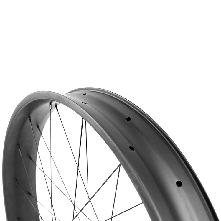 Lightcarbon 26er & 27.5 Roues en carbone Fatbike DT350 Roues en carbone pour vélo de neige Big Ride