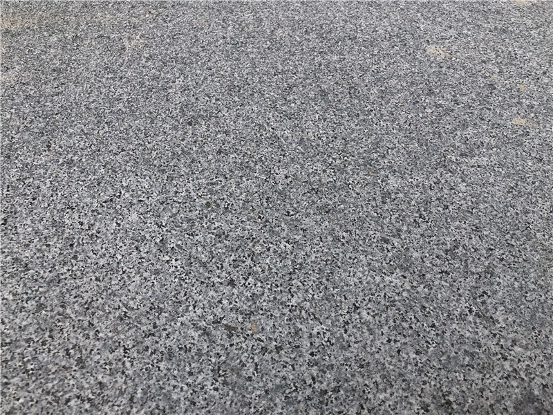 Granit chinois G654 Granit gris foncé