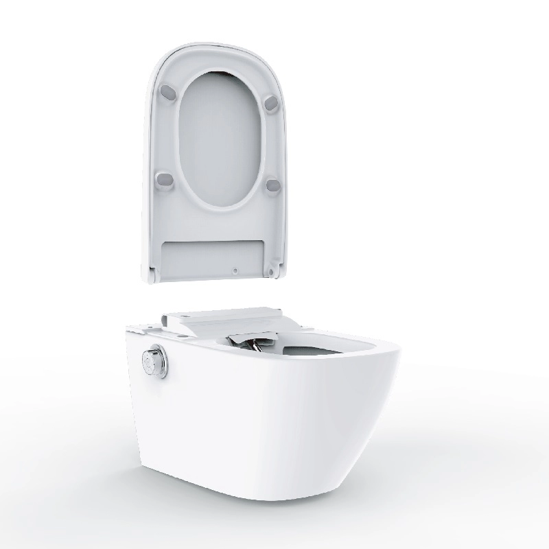 Toilette de douche intelligente Siège de bidet couleur blanche et noire Style allemand