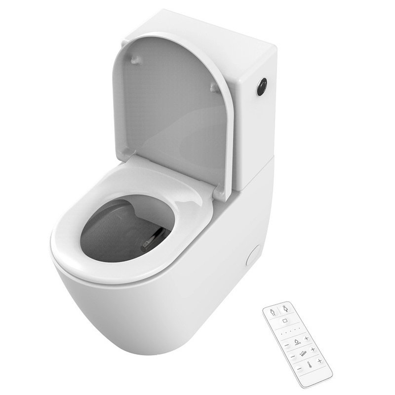 Bidet de toilette intelligent avec éliminateur de dépôts de calcium