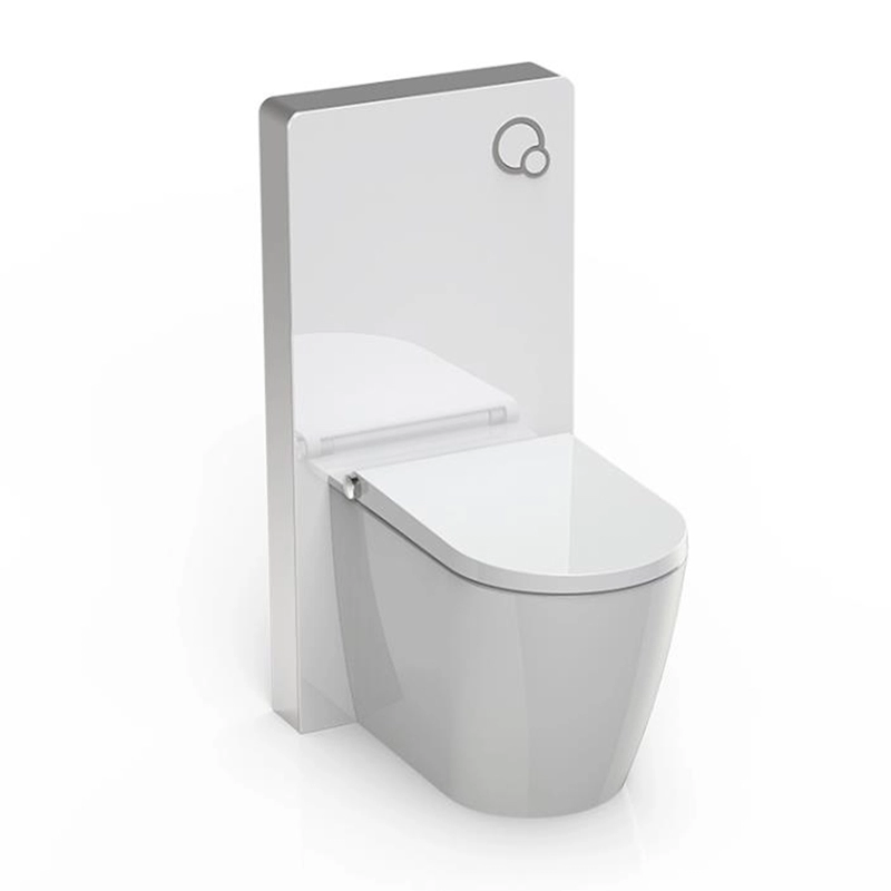 Réservoir de toilette de couleur blanche pour salle de bain