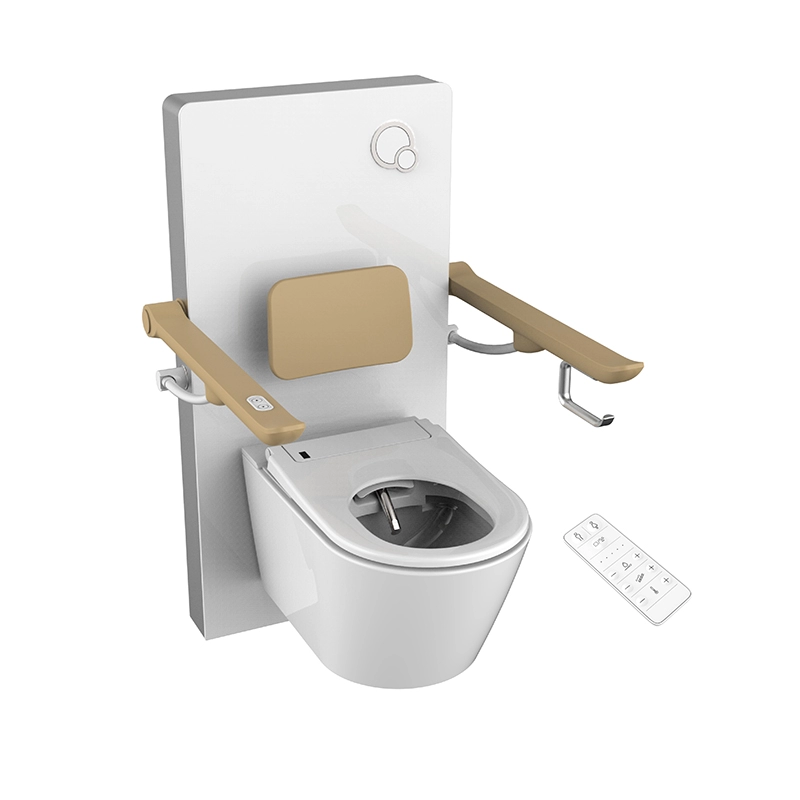 Soins aux personnes âgées Handicapés Équipement de santé Élévateur de toilettes électrique