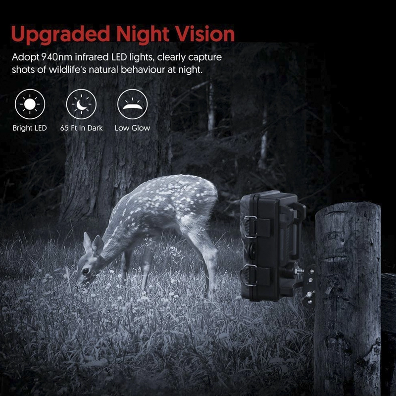 Trail Cameras No Glow Night Version pour entrée de gamme