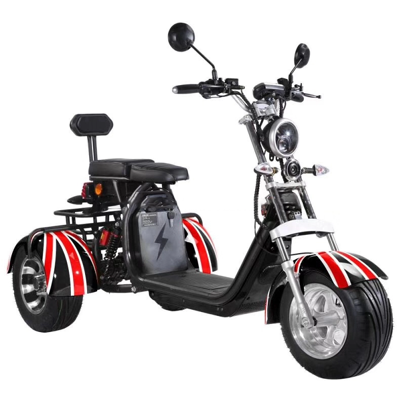 3 roues 45kmh vitesse max électrique citycoco 60v 1500w citycoco scooter électrique avec gros pneu