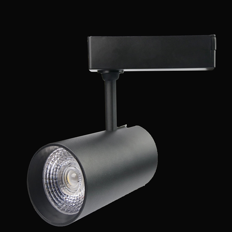 Source de lumière personnalisée pour éclairage sur rail à LED