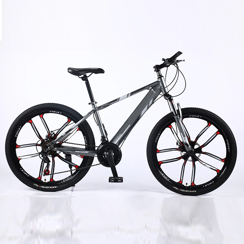Hot Sale suspension complète personnalisée 21 vitesses vélo vélo de montagne