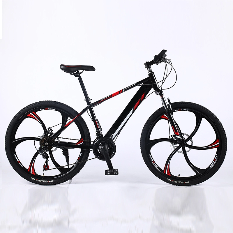 Usine OEM Custom Bike Cheap 26 Vélo de montagne 21 vitesses pour adultes