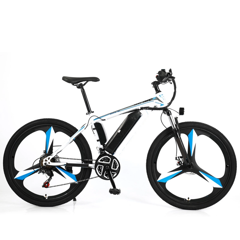 26 pouces 36v 350w E Bike 10ah batterie au lithium cachée cadre en acier à haute teneur en carbone frein à disque vélo électrique