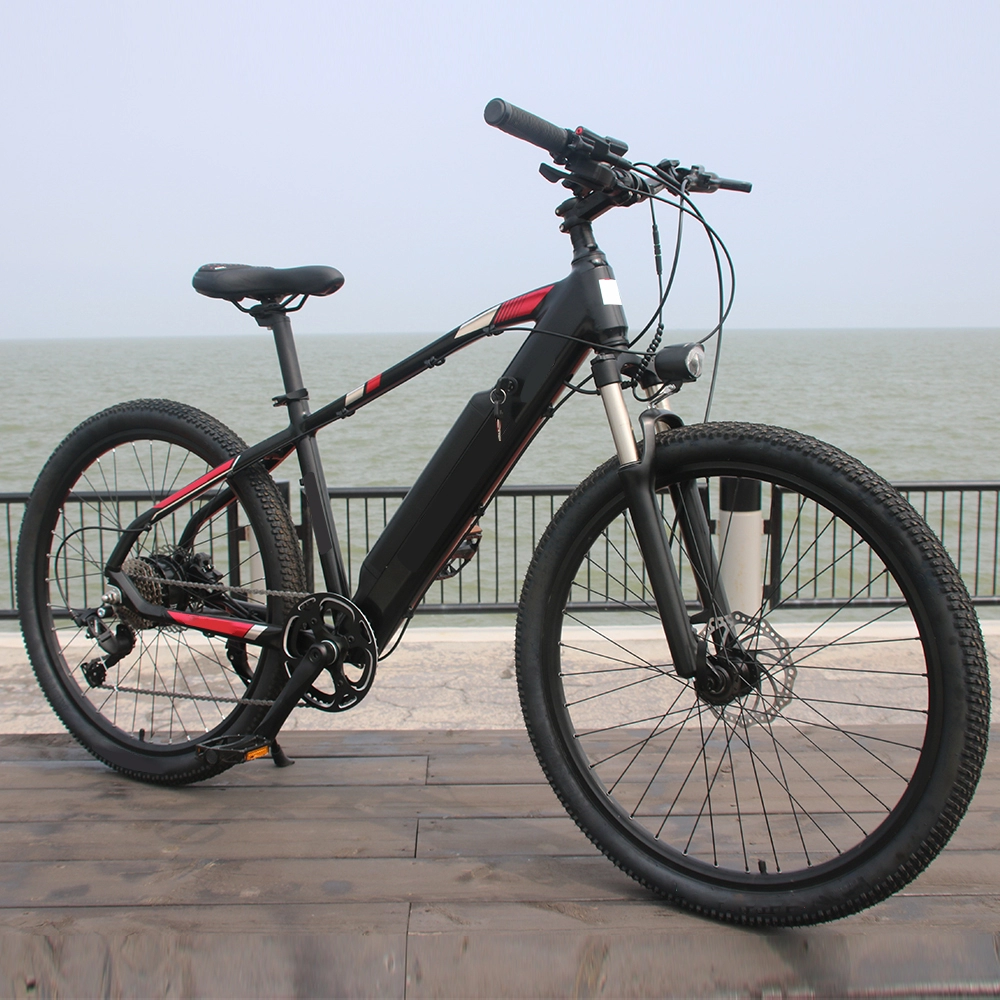 36V 48V 250W pédale assistance e puissance batterie cycle homme 350W vélo électrique 750W adultes ebike meilleur vélo de montagne électrique à vendre
