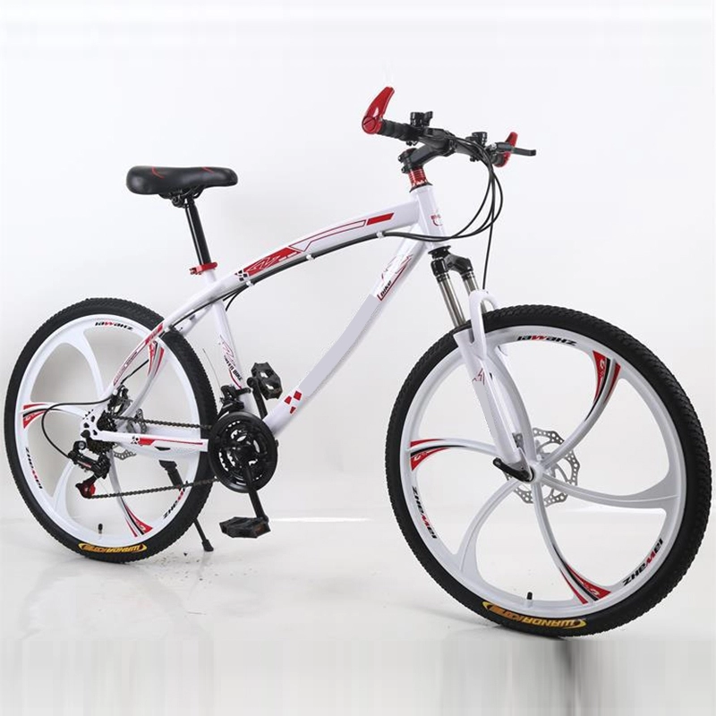 Vélo de montagne 21 vitesses homme femme adulte 26 pouces 29 pouces