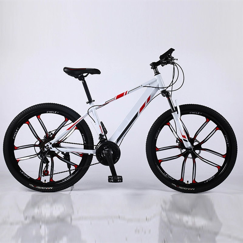 Usine OEM Custom Bike Cheap 26 Vélo de montagne 21 vitesses pour adultes