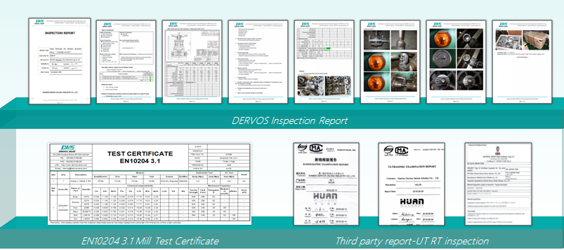 Rapports d'inspection Dervos pour les vannes industrielles