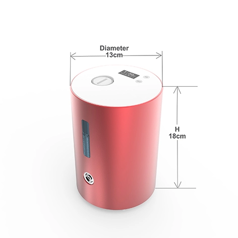 Petit générateur d'hydrogène portable pour soins de santé au Japon