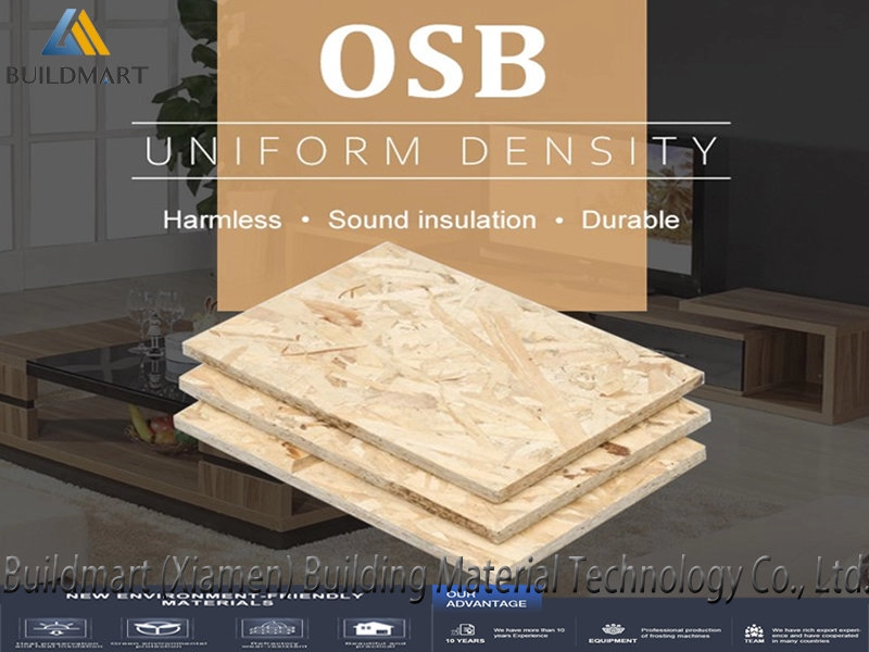 Panneaux à copeaux orientés OSB personnalisés de haute qualité Panneau OSB étanche