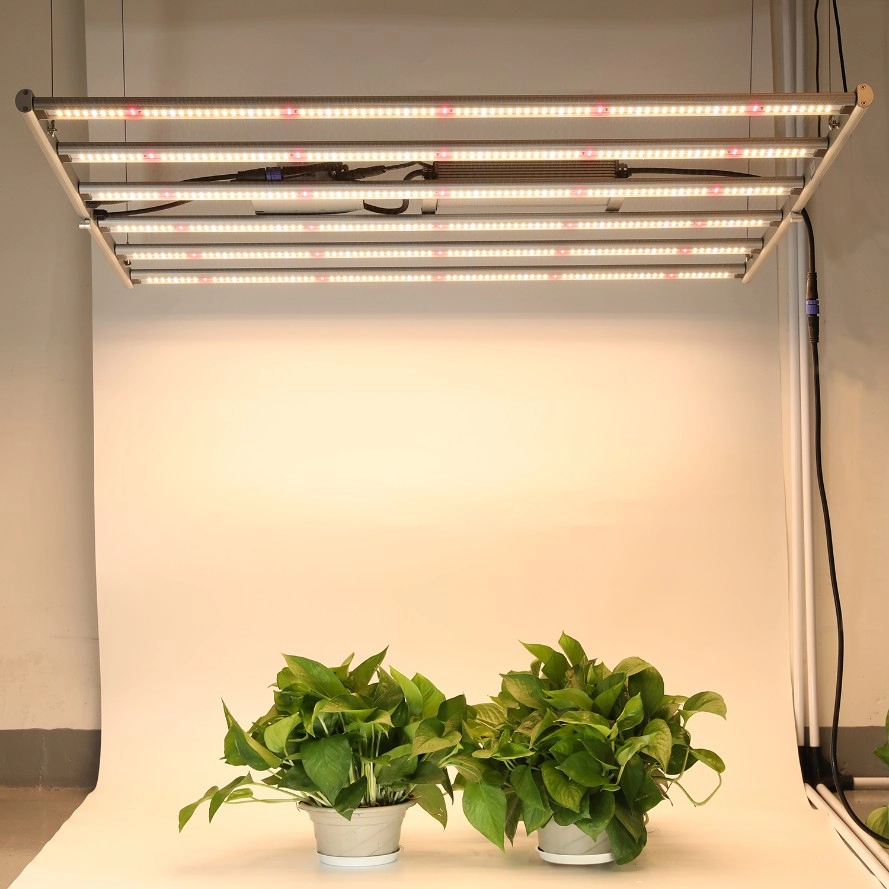 600W Pliable Veg Flower LED Grow Lights avec pilote externe
