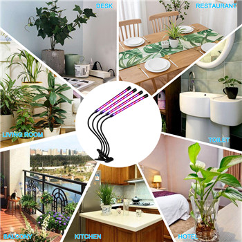 Lampe de table légère et compacte pour la croissance des plantes domestiques