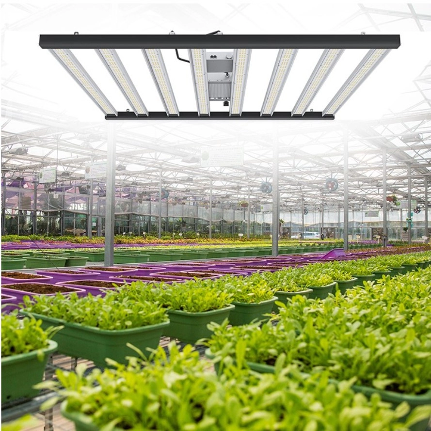 Détachable Led Grow Light spectre complet pour serre