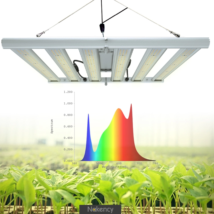 Lampes de culture à led 320w pour plantes d'intérieur, spectre complet