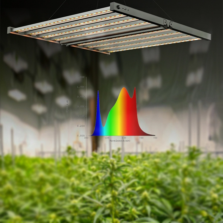 800w cannabis cultivant des plantes d'intérieur led élèvent la lumière