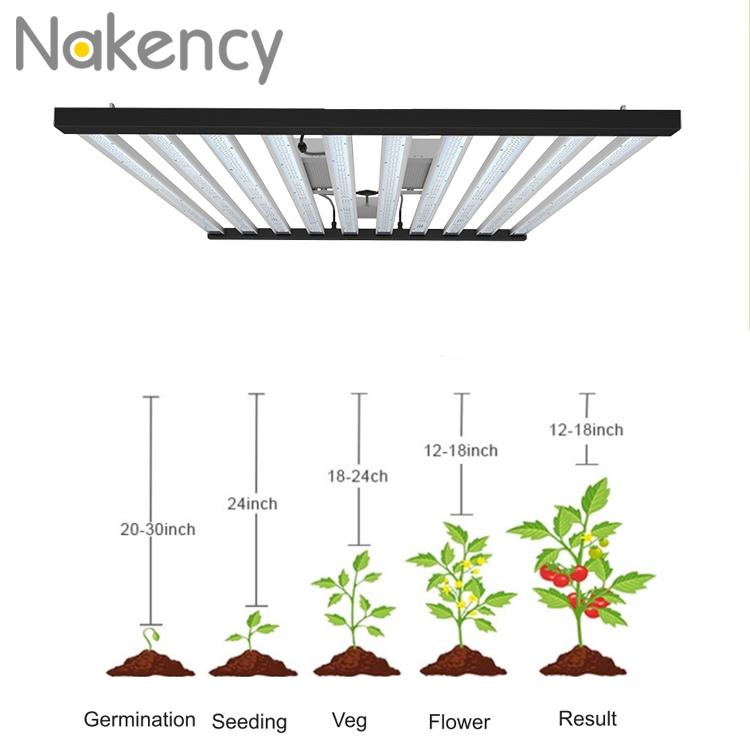1200w 10 lampes à LED détachables pour la croissance des légumes