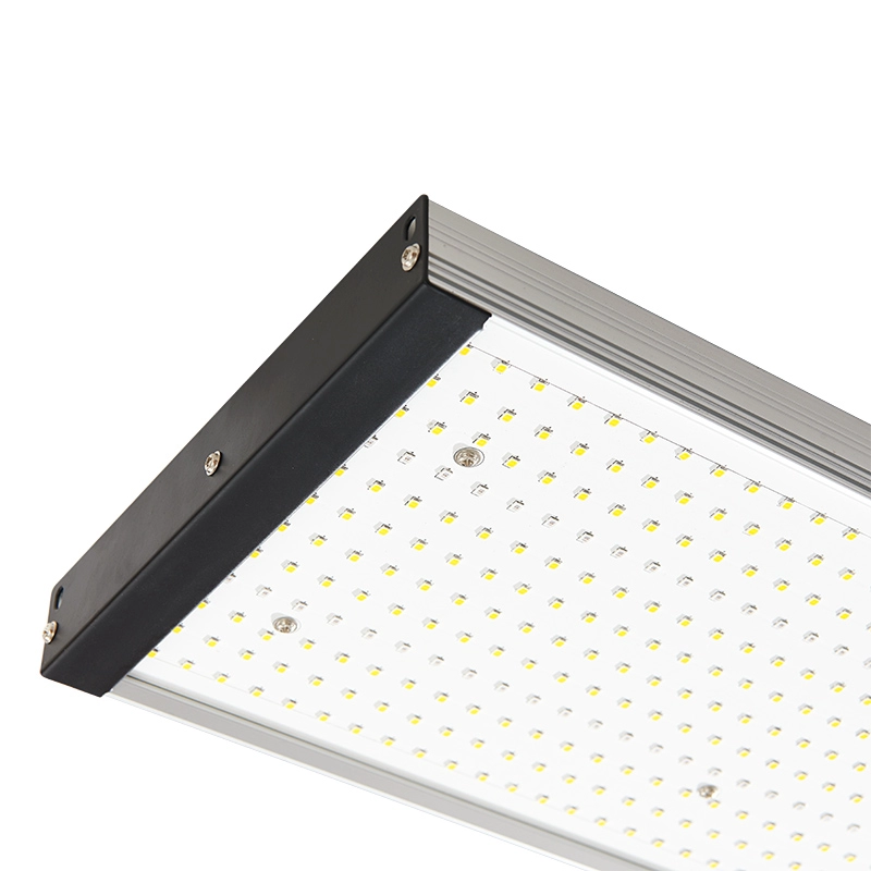 Nouveau spectre complet de remplacement des lumières de culture hydroponique 300w Led pour les plantes d'intérieur