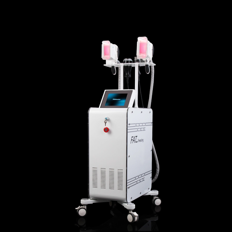 Big Discount Cheap Price Cryolipolysis Cyro / Cryo Machine Fat Loss Beauty Therapy Sans effets secondaires