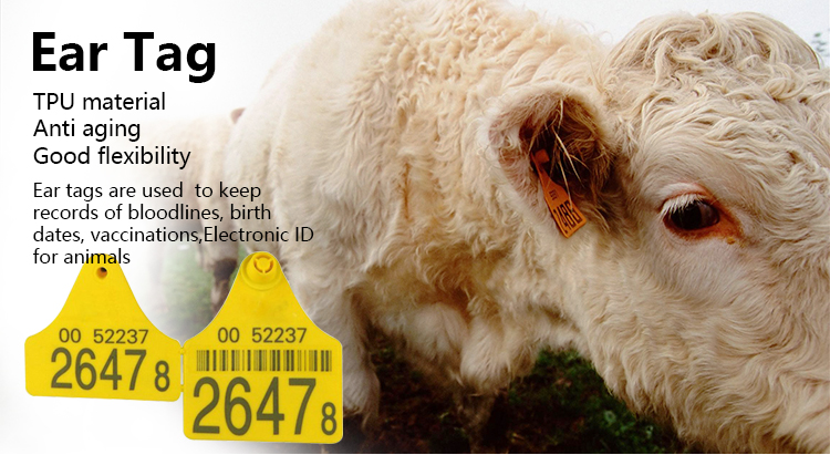 étiquettes d'oreille pour le bétail