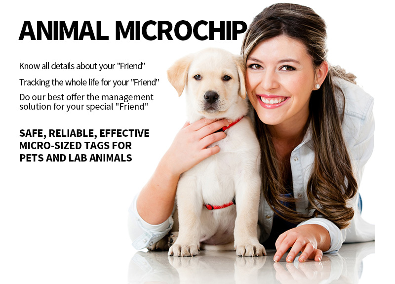 Implant de micropuce animale RFID