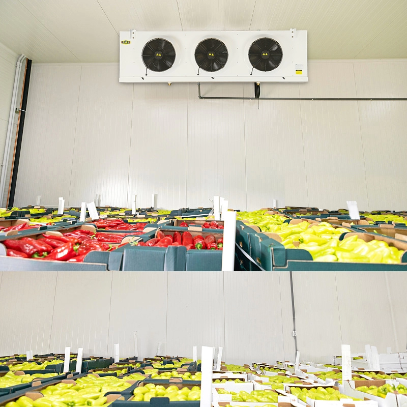 Refroidisseur d'unité d'évaporateur d'entreposage au froid de fruits de légumes 9.18KW