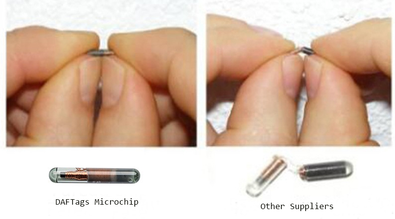 Micropuce d'identification d'animal de compagnie RFID