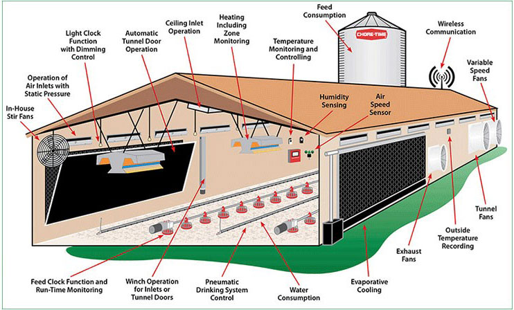 Maison de ferme de volaille de poulet d'oeuf de couche