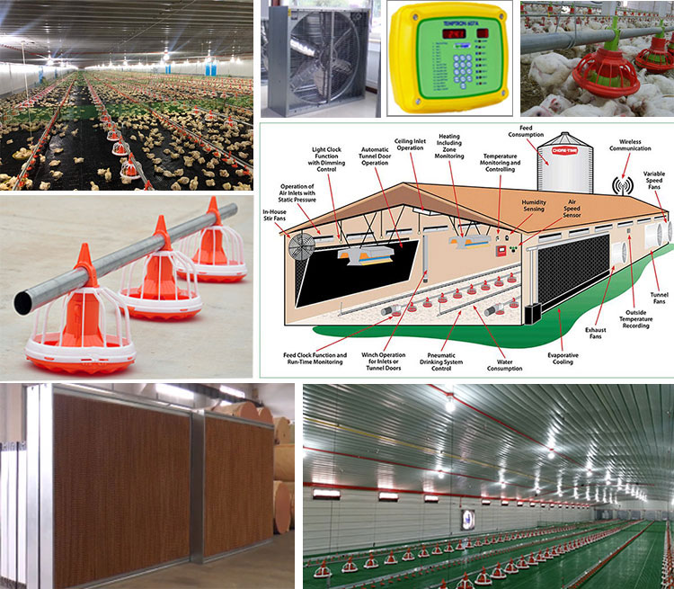 Ferme de poulet préfabriquée à structure métallique