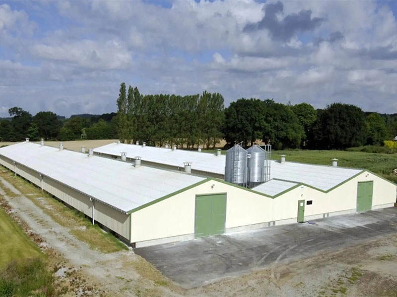 Maison de ferme de volaille de poulet d'oeuf de couche