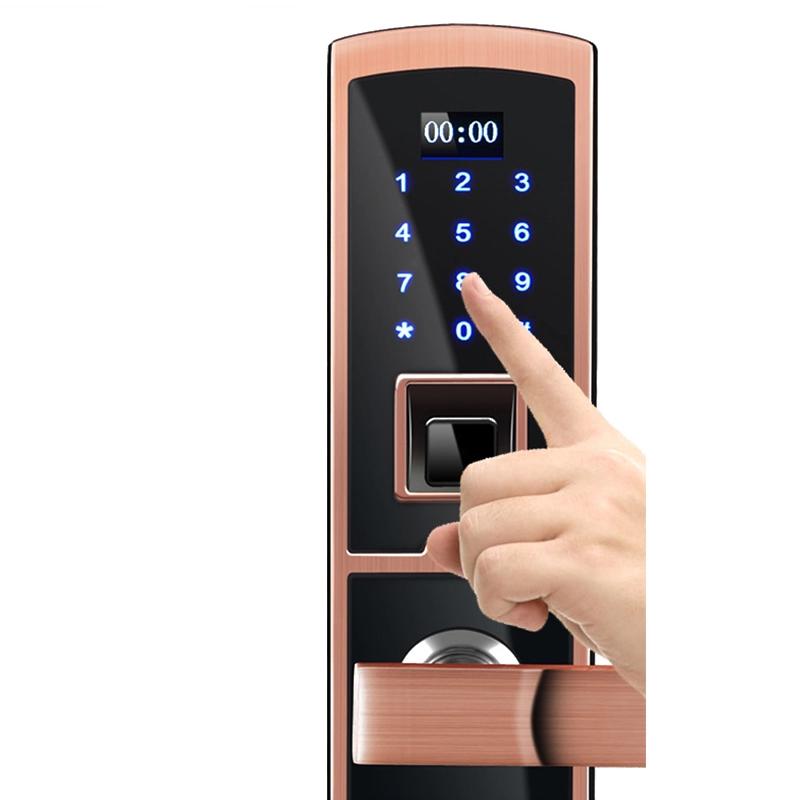 Serrure de porte biométrique à empreintes digitales